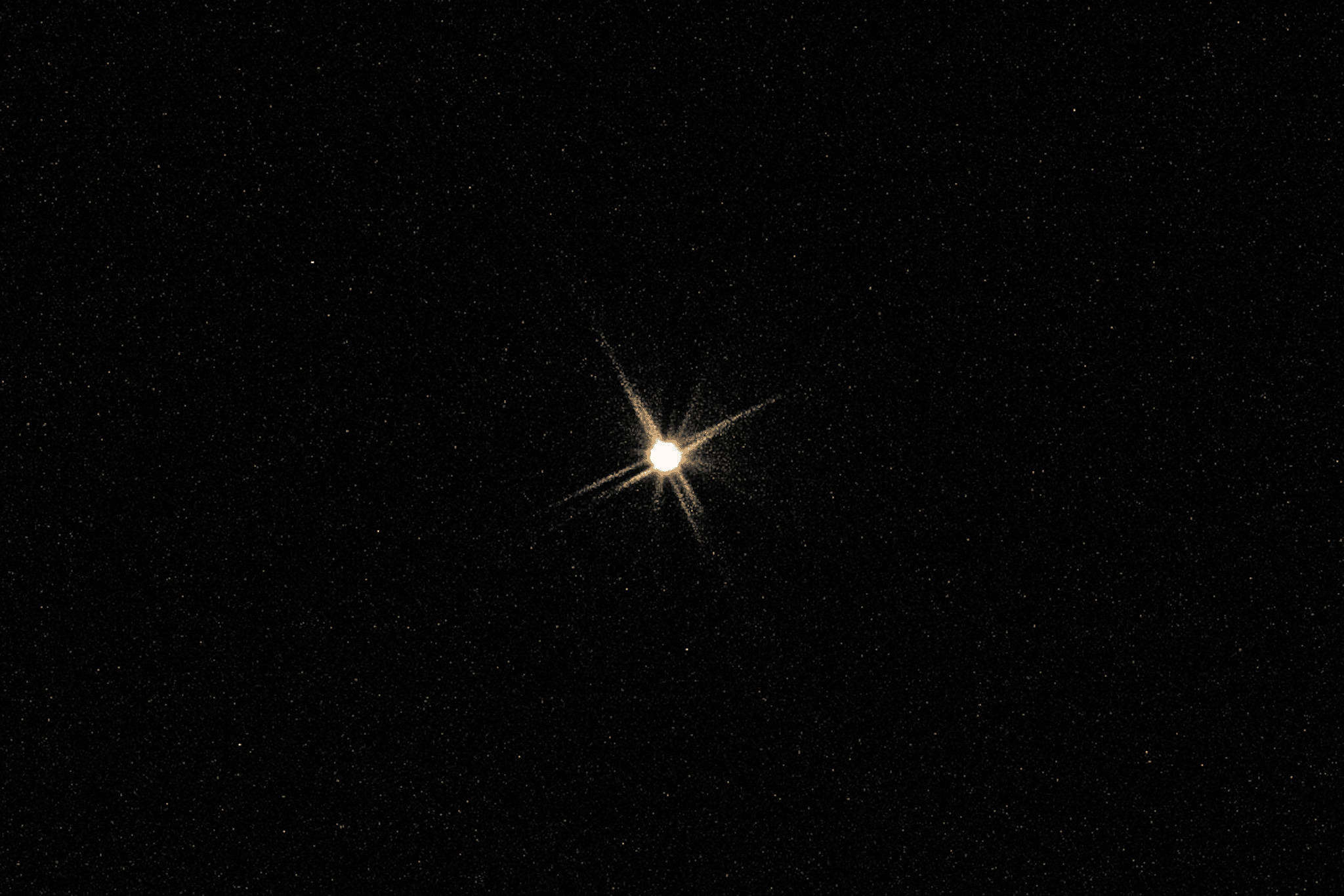 A 1/4 second exposure of the star Vega (I think?) and lots of surrounding stars.