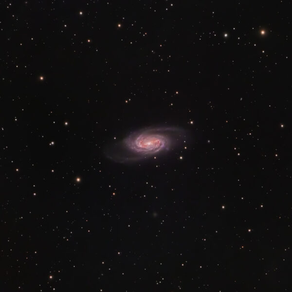 NGC 2903 Galaxy